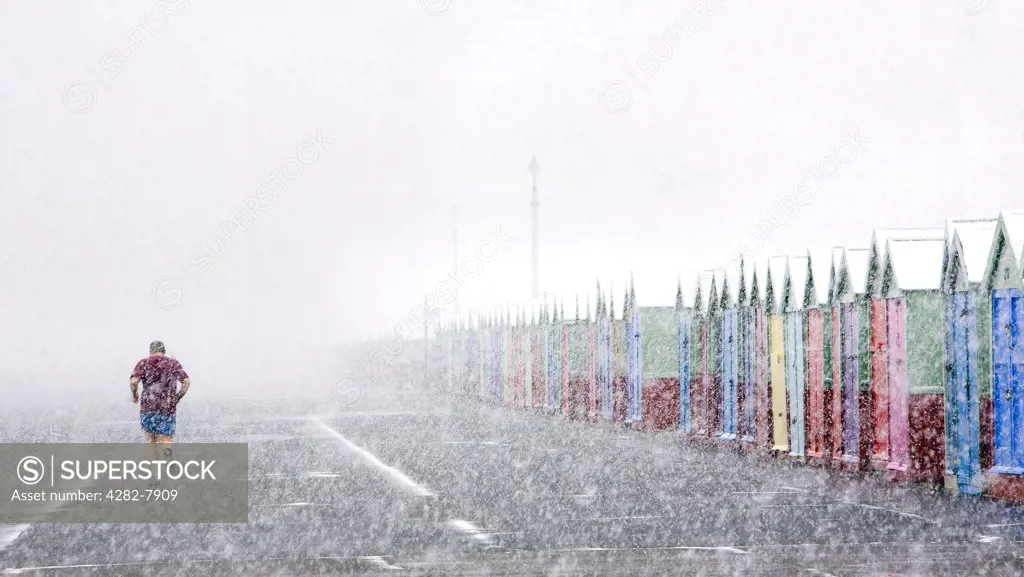 England, East Sussex, Hove. A jogger passes by beach huts whilst running in a snowstorm on Hove seafront.