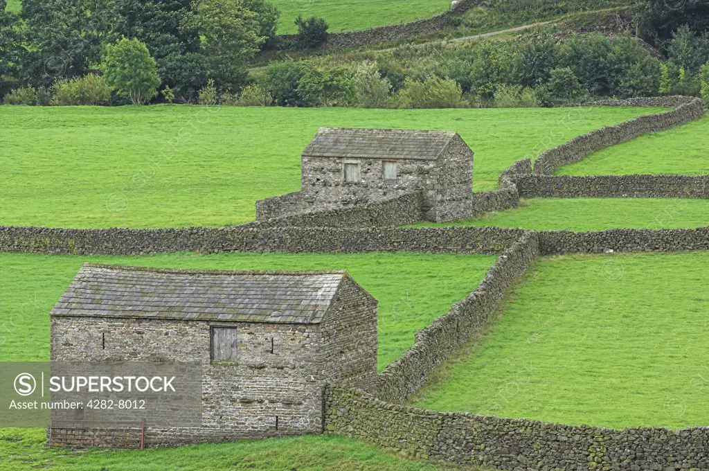 England, North Yorkshire, Yorkshire Dales. Stone barns and dry stone walls in the Yorkshire Dales.