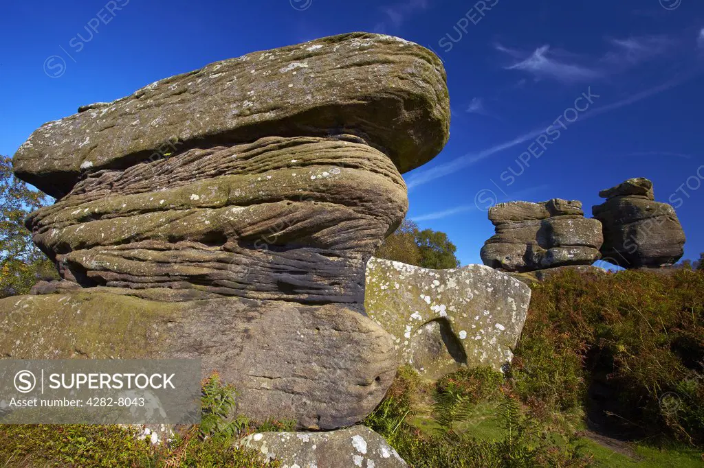 England, North Yorkshire, Brimham Rocks. Baboon Rock at Brimham Rocks on Brimham Moor. The millstone grit rocks have been eroded over the centuries to form interesting and strange shapes.