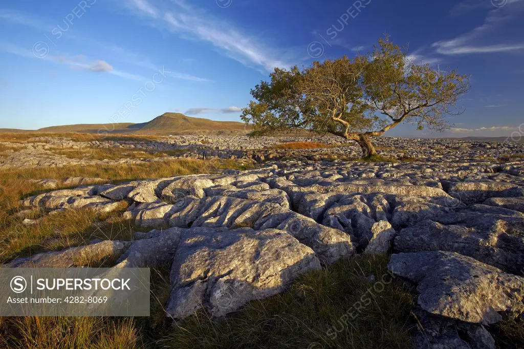 England, North Yorkshire, Ingleton. View of Ingleborough, the second highest mountain in the Yorkshire Dales and one of the Yorkshire Three Peaks, from above Twistleton Scars.