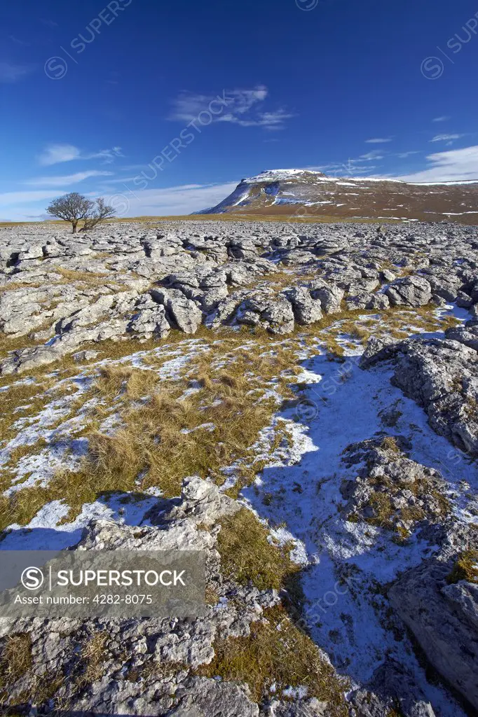 England, North Yorkshire, Ingleton. View over the White Scar limestone pavement towards Ingleborough, the second highest mountain in the Yorkshire Dales and one of the Yorkshire Three Peaks.