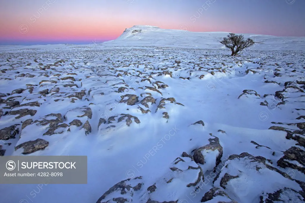 England, North Yorkshire, Ingleborough. Winter view at sunset towards Ingleborough, one of the Yorkshire Three Peaks from White Scars, a large limestone plateau in the Yorkshire Dales.