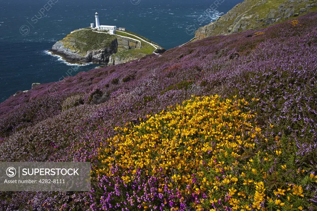 Wales, Anglesey, South Stack. South Stack lighthouse on the north west coast of Anglesey guarding the entrance to the port of Holyhead.