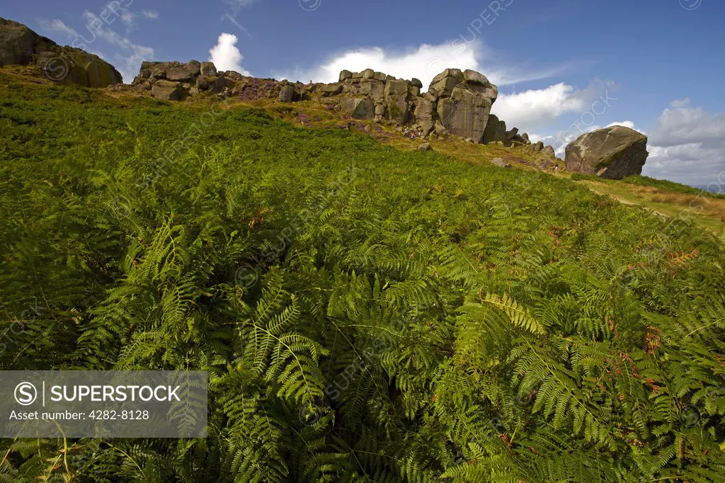 England, West Yorkshire, Ilkley Moor. The Cow and Calf, a large rock formation consisting of an outcrop and boulder, also known as Hangingstone Rocks, at Ilkley Quarry.