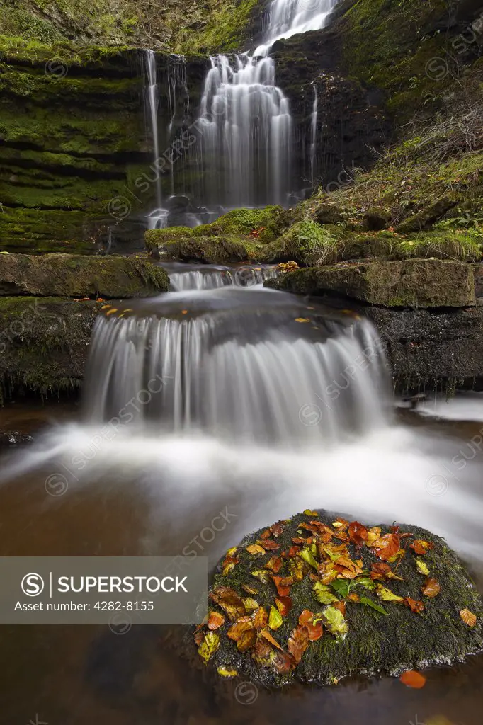 England, North Yorkshire, Near Settle. Scaleber Beck flowing over Scaleber Force, a multi-tiered waterfall in a gorge in the Yorkshire Dales.
