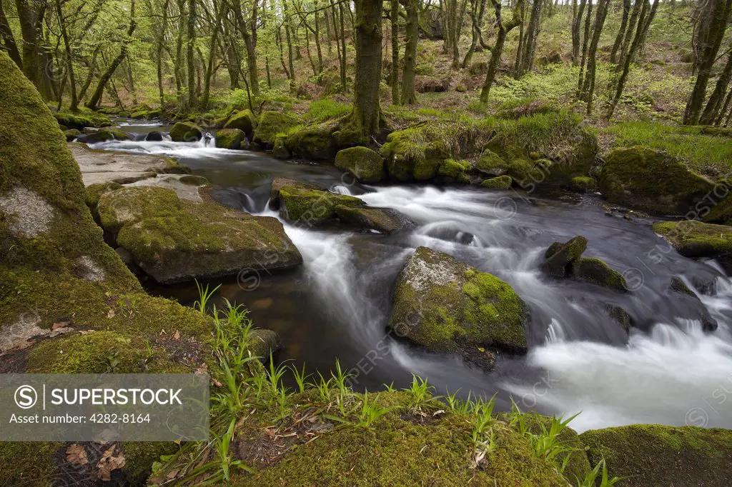 England, Cornwall, Near St Neots. River Fowey flowing through woodland in the Golitha National Nature Reserve.
