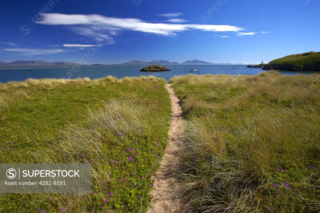 Wales, Anglesey, Llanddwyn Island. Path leading to beach on Llanddwyn Island with mountains of Snowdonia in distance.