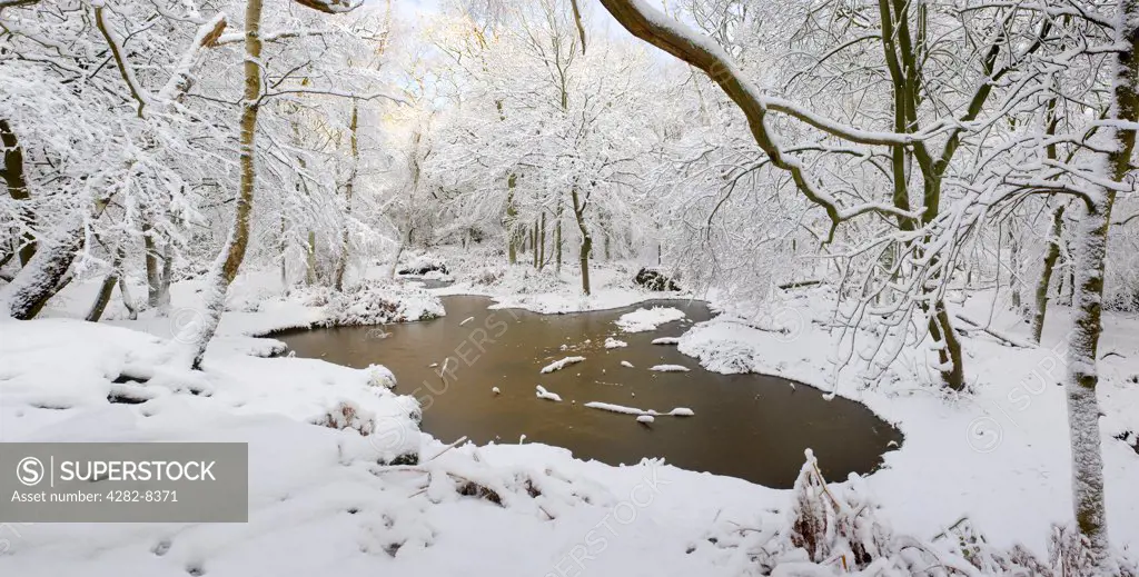 England, Essex, Brentwood. A frozen pond in snow covered woodland.