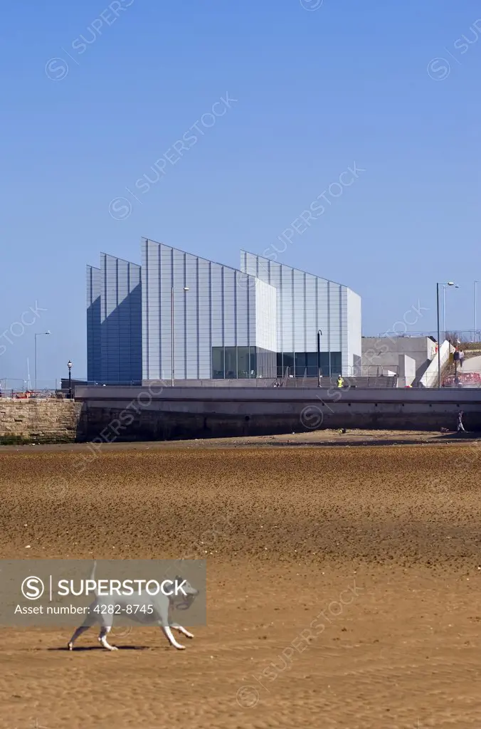 England, Kent, Margate. A dog running on Margate beach with the Turner Contemporary arts gallery in the background.