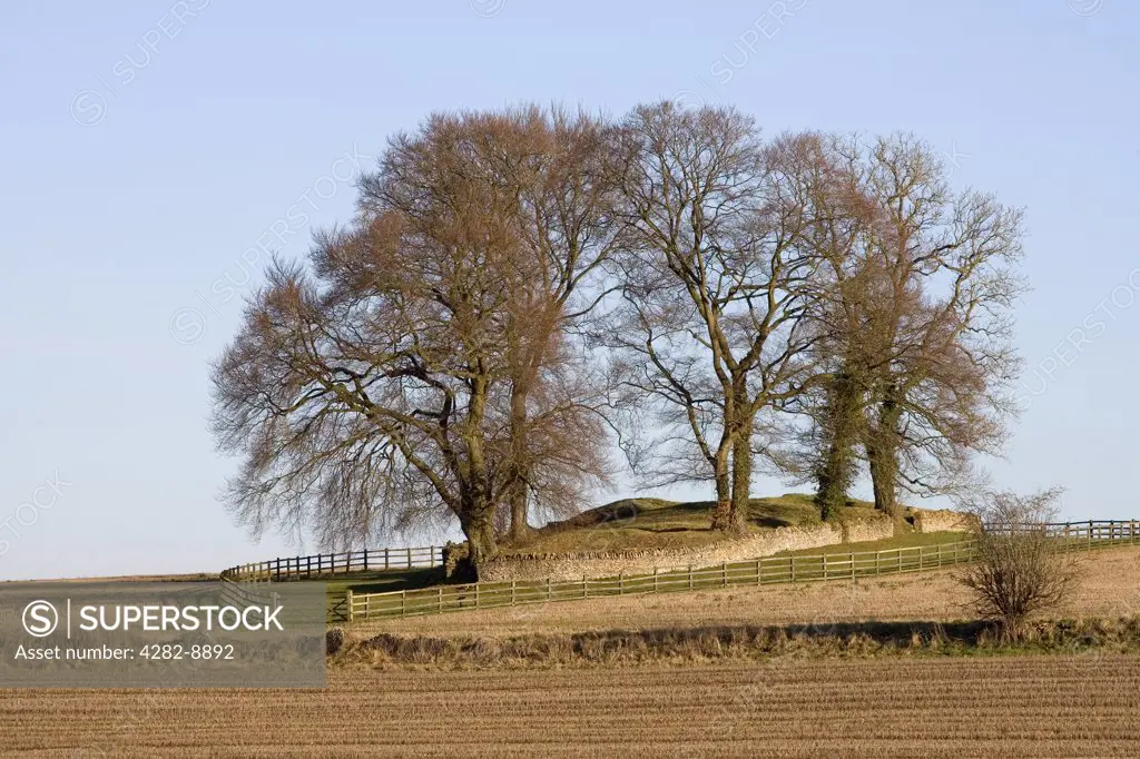 England, Gloucestershire, Rodmarton. Windmill Tump Long Barrow (Rodmarton Long Barrow), a large Neolithic long barrow near Rodmarton.