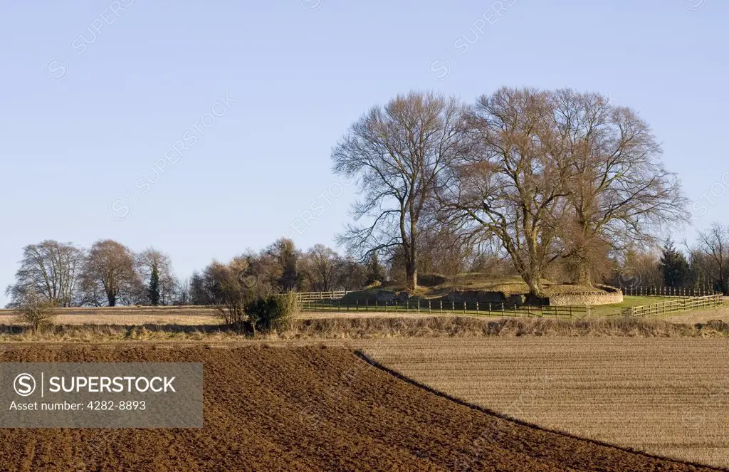 England, Gloucestershire, Rodmarton. Windmill Tump Long Barrow (Rodmarton Long Barrow), a large Neolithic long barrow near Rodmarton.