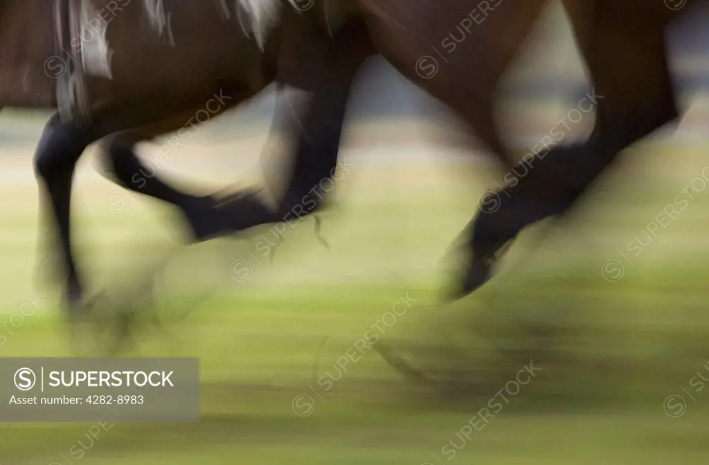 England, Northamptonshire, Towcester. Blurred motion of race horses at full gallop.