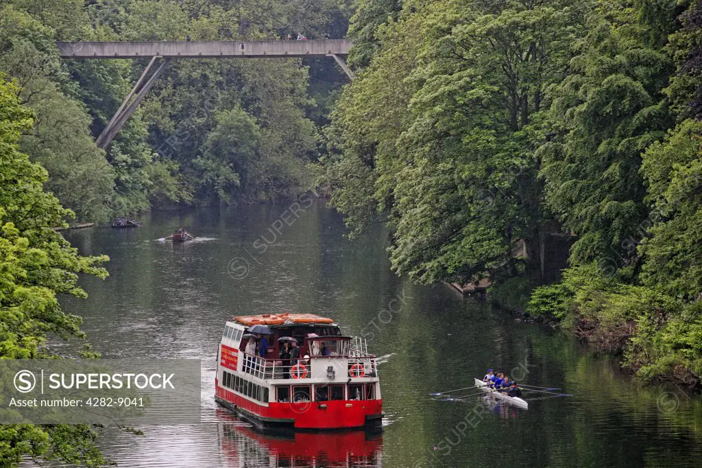 England, County Durham, Durham. Prince Bishop River Cruiser and rowers on the River Wear.
