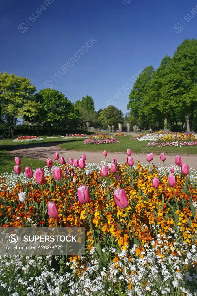 England, Warwickshire, Warwick. Colourful flowers growing in St Nicholas park in Warwick.