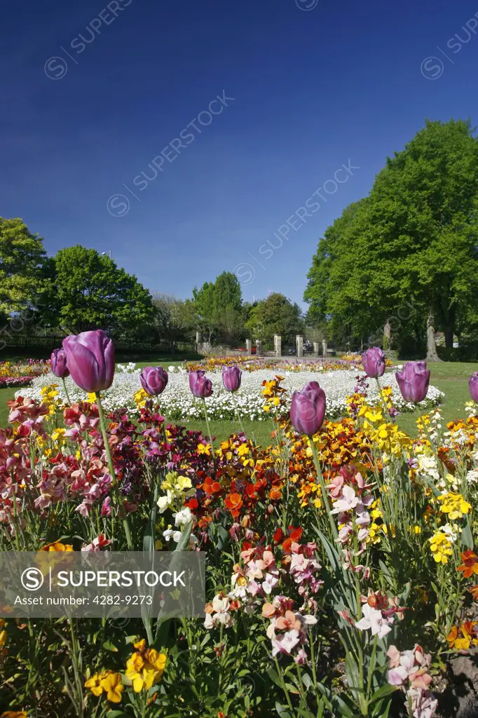 England, Warwickshire, Warwick. Colourful flowers growing in St Nicholas park in Warwick.