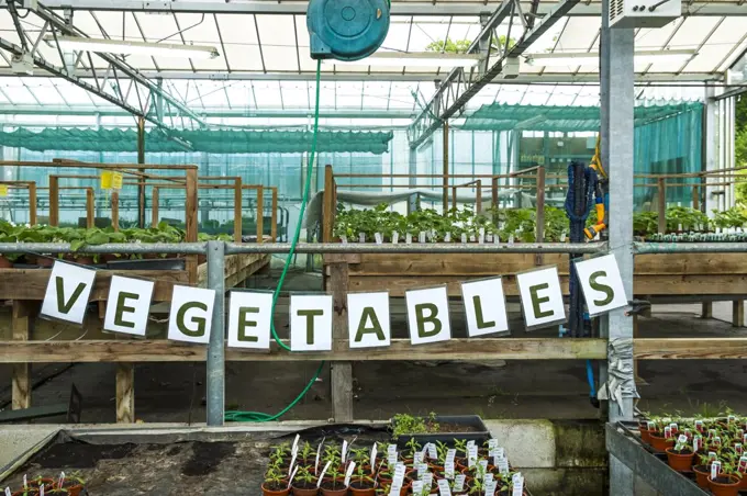 A sign for vegetables in a garden centre nursery.