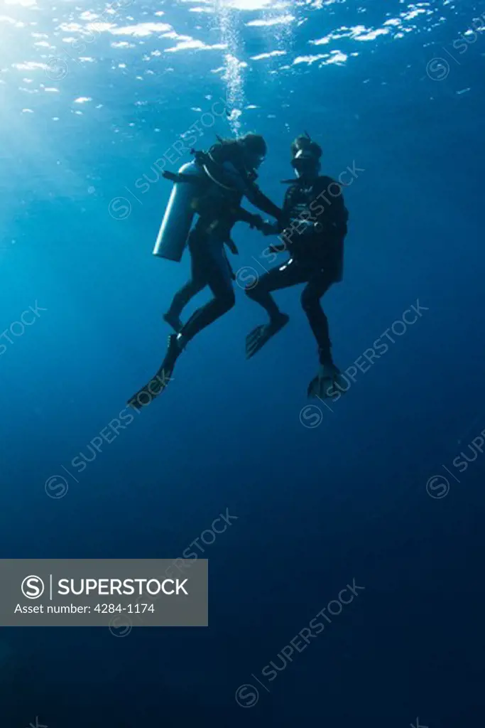 Underwater view of scuba divers, Similan National Reserve, Richelieu Rock, Andaman Sea, Thailand