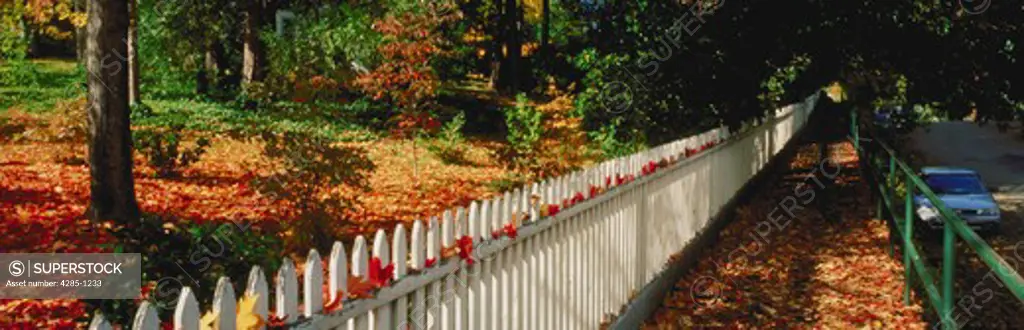Fence and elevated boardwalk, Nevada City, CA