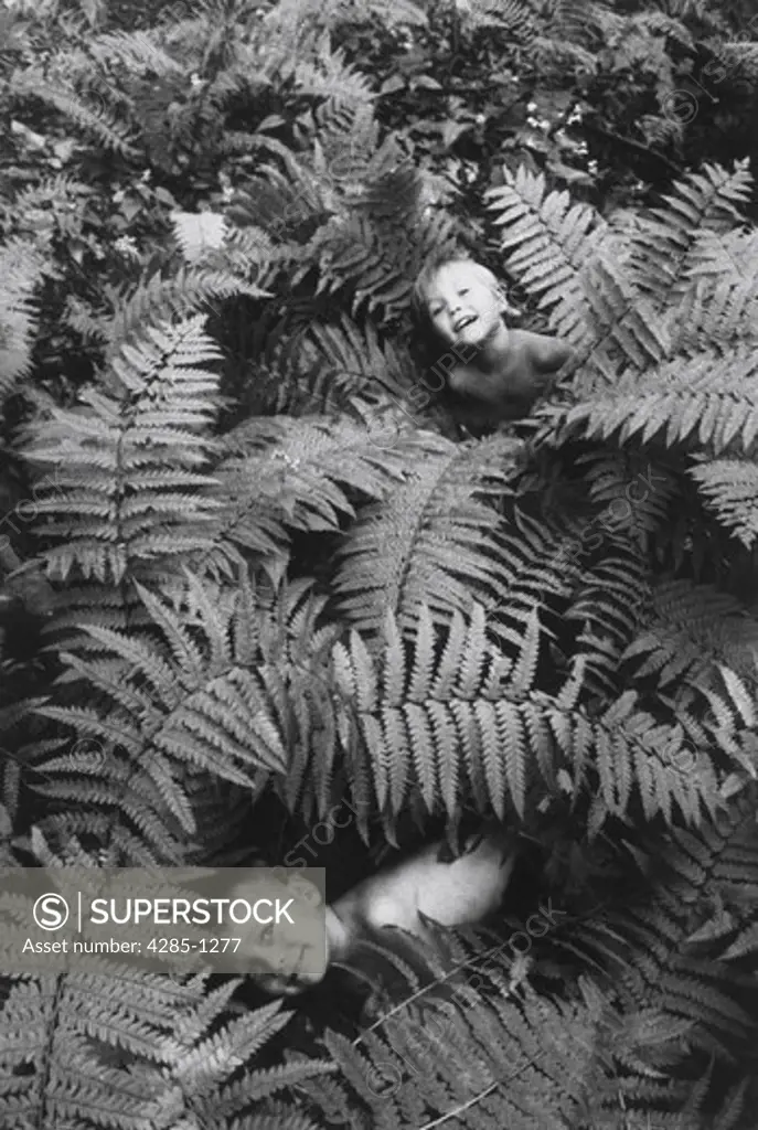 Several young children peeking out and playing hide-and-seek among a forest of large ferns.