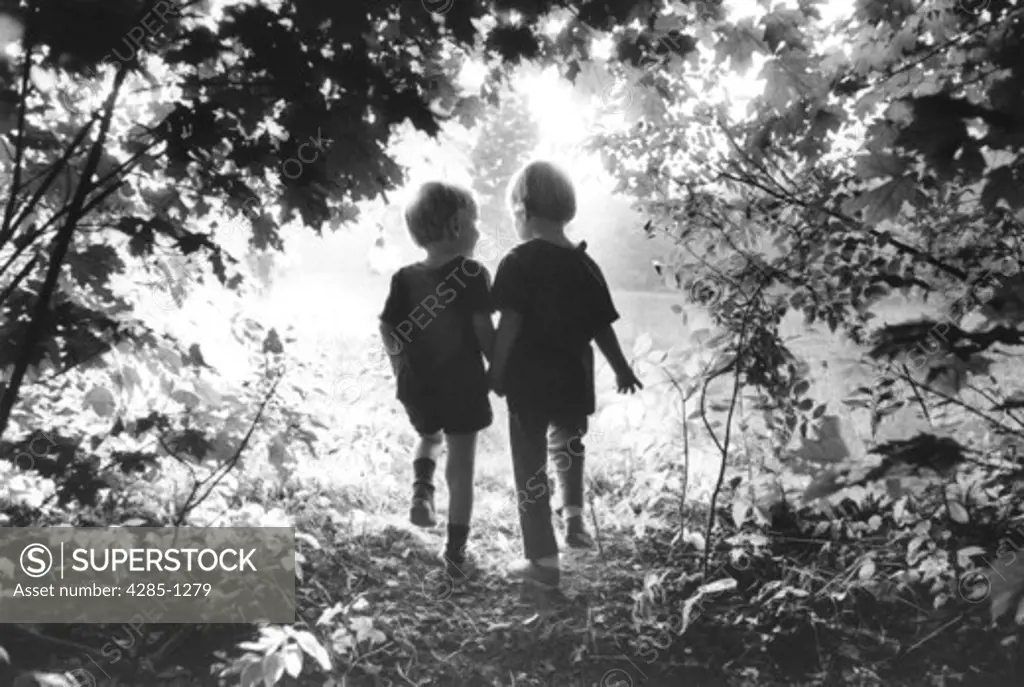 Silhouette of brother and sister walking through the woods together.