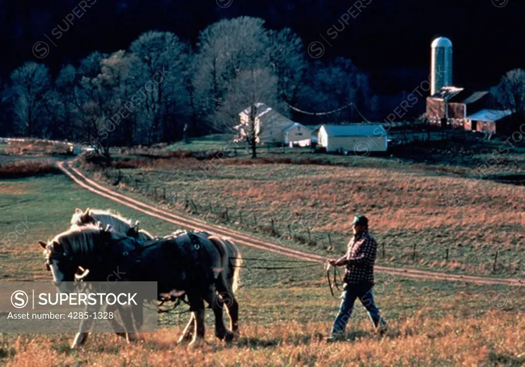 Farmer plowing with horse team on farm in Upstate New York.
