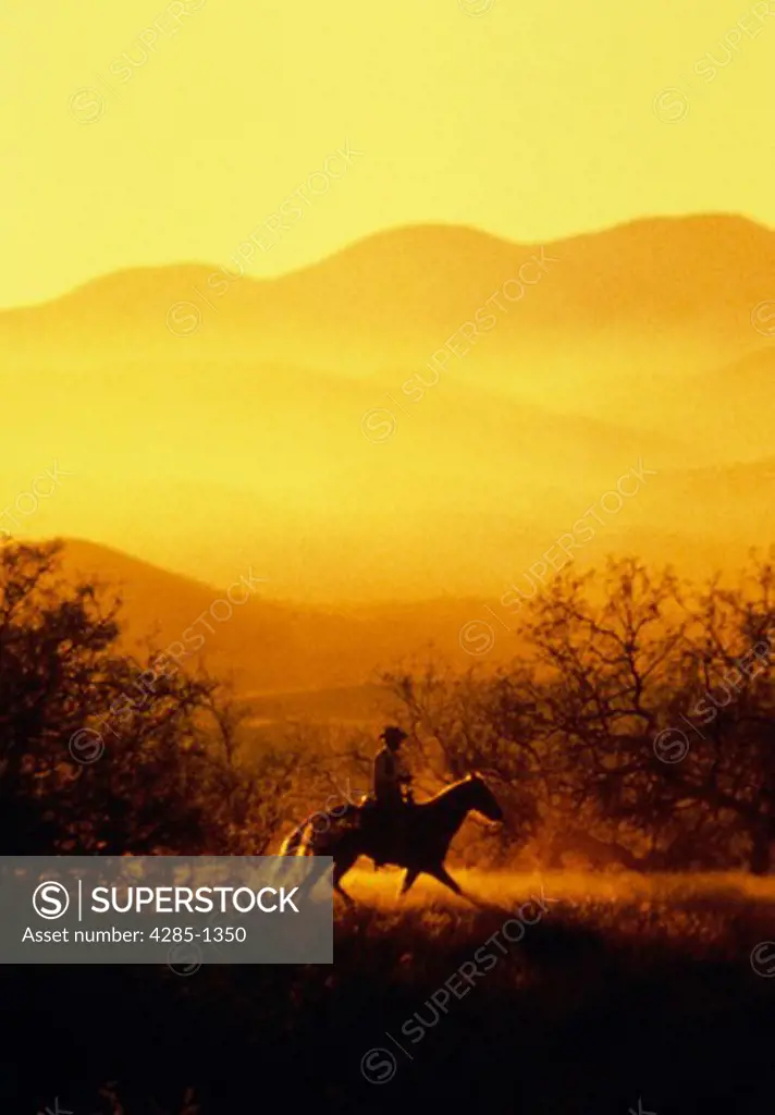 Silhouette of a lone cowboy on a horse heading home at sunset.