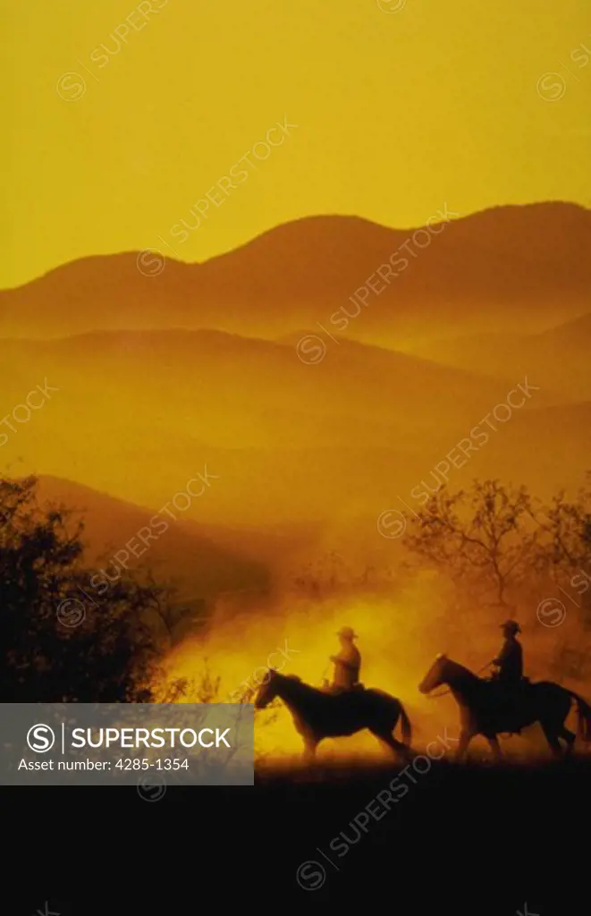 Silhouette of two cowboys on horses heading home at sunset.