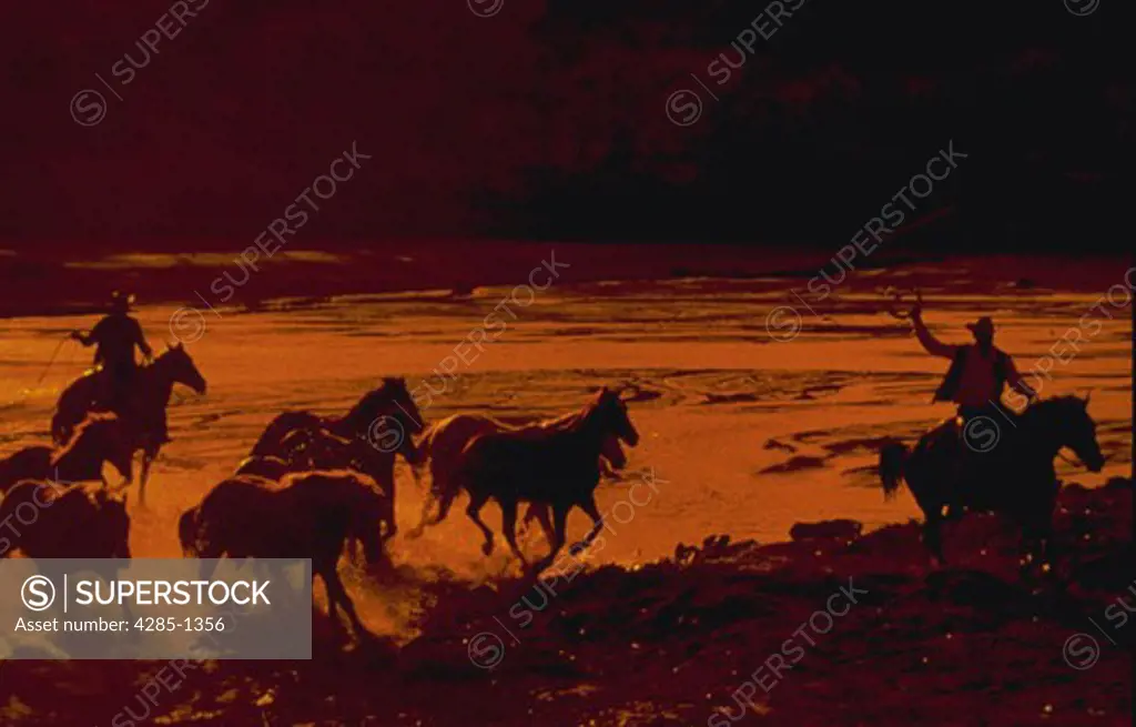 Silhouette of cowboys on horses rounding up wild horses at sunset, Rio Grande.