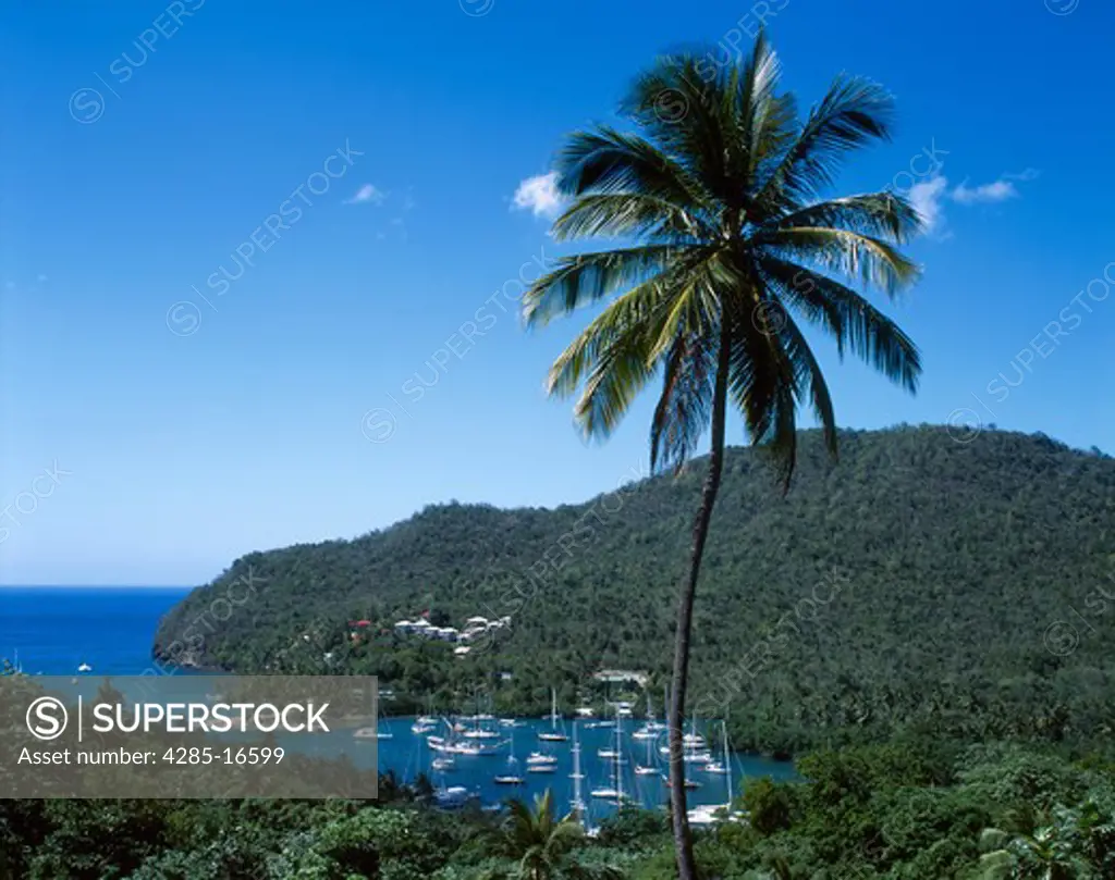Marigot Bay, St. Lucia, West Indies