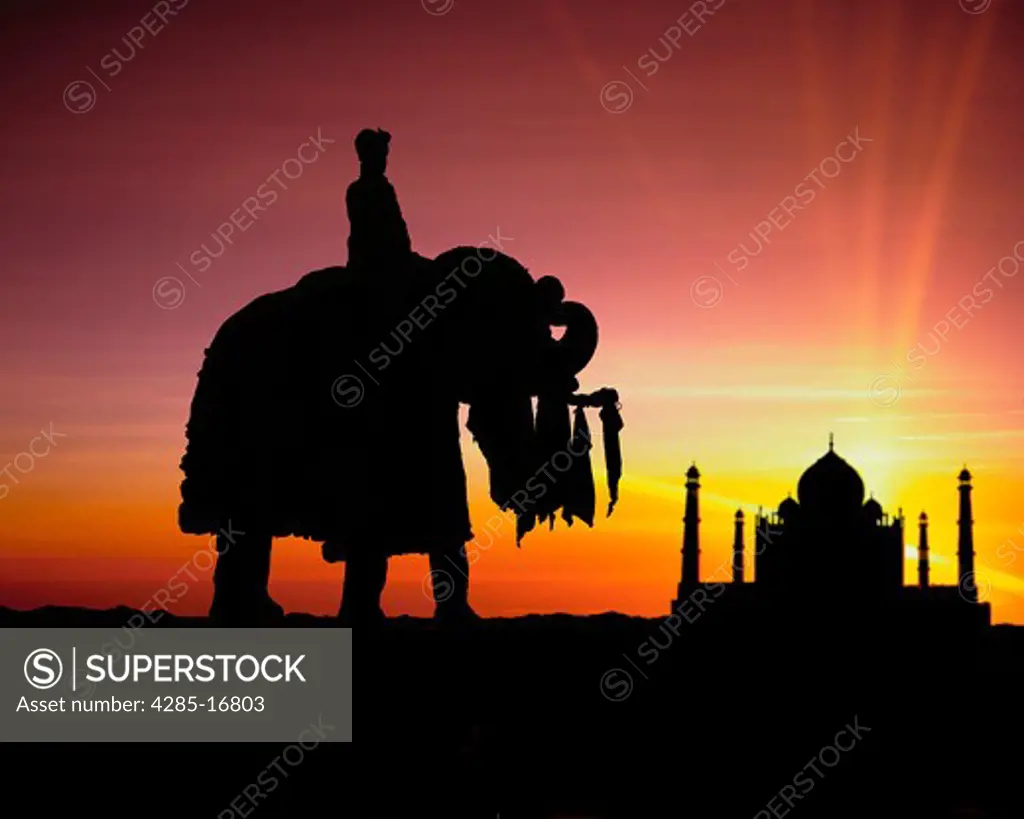 Taj Mahal and Elephant at sunset in Agra, Uttar Pradesh, India built in the 17th Century by Emperor Shahjahan
