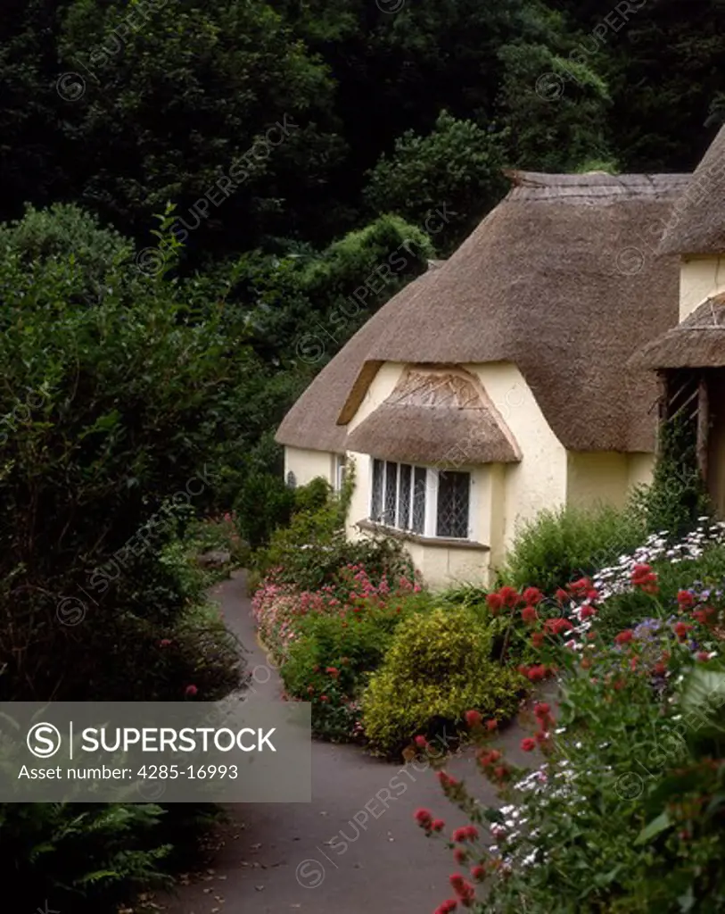 Cottage with Thatched Roof, Selworthy, Somerset, England, United Kingdom ( Great Britain )