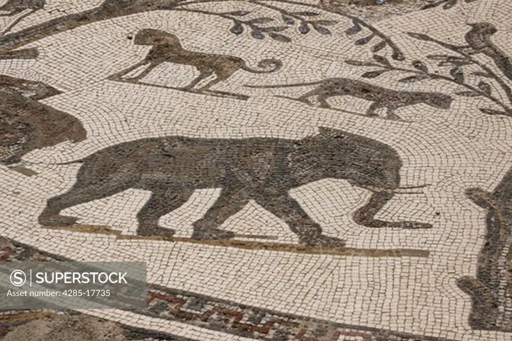 Africa, North Africa, Morocco, Roman Ruins of Volubilis, Mosaic Tiles