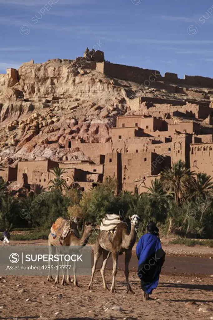 Africa, North Africa, Morocco, Atlas Region, Ouarzazate, Ait Benhaddou, Kasbah, Berber Man with Camels