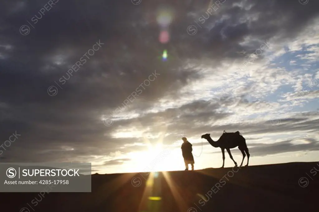 Africa, North Africa, Morocco, Sahara Desert, Merzouga, Erg Chebbi, Berber Tribesman Leading Camel, Sunrise