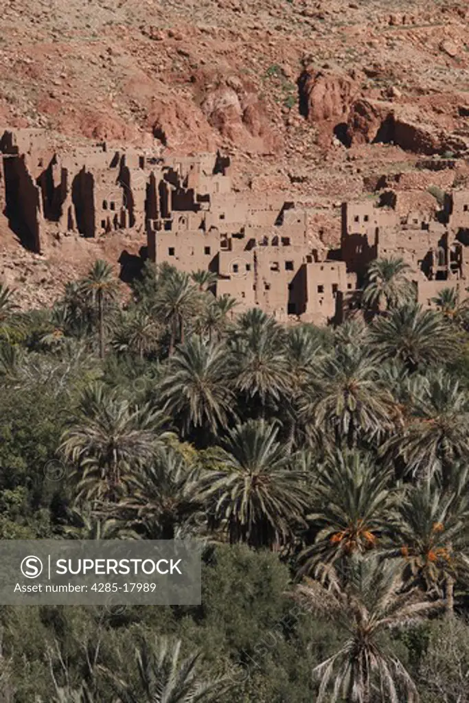 Africa, North Africa, Morocco, Tinerhir, Dades Valley, Atlas Mountains, Kasbah, Palm Groves, Mud Brick Buildings