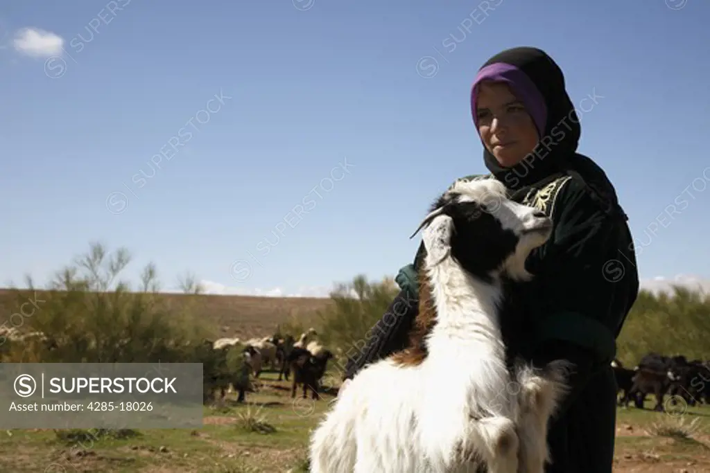 Africa, North Africa, Morocco, High Atlas Mountains, Dades Valley, Woman Shepherd holding Goat
