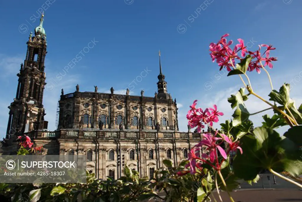 Germany, Saxony, Dresden, Old Town, Hofkirche, Kathedrale St. Trinitatis, St. Trinity Cathedral, Flowers in Foreground