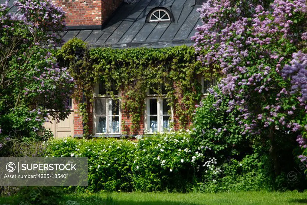 Finland, Helsinki, Helsingfors, Suomenlinna Island, Historic Home decorated with Plants Shrubs and Trees