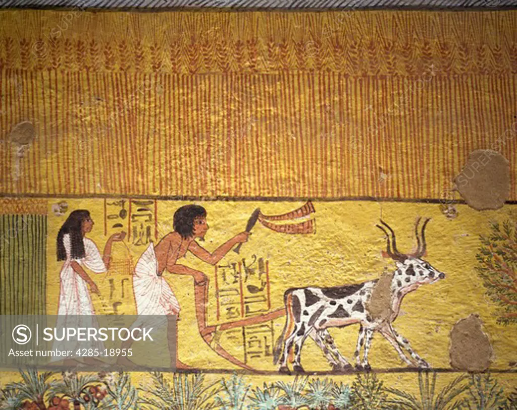 Egypt, Luxor, Dier el Medina, Tomb of Art, Artisan Sennedjen, Painting