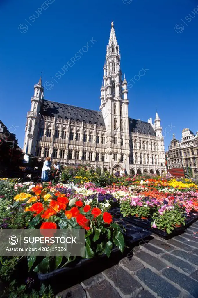 Belgium, Brussels, Grand Place, Town Hall, Flower Market