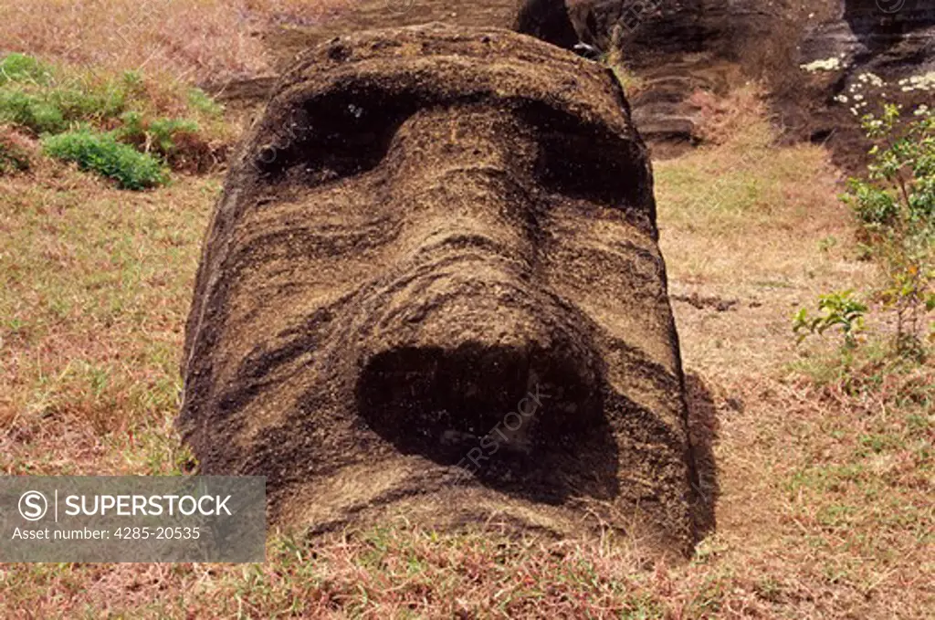 Rano Raraku, Moai