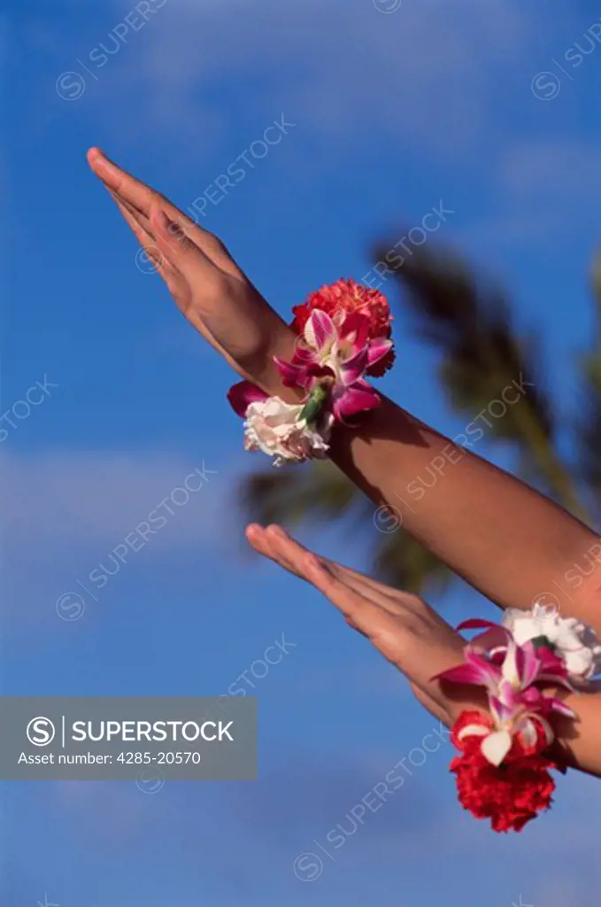Honolulu, Hula Dancing, Hands