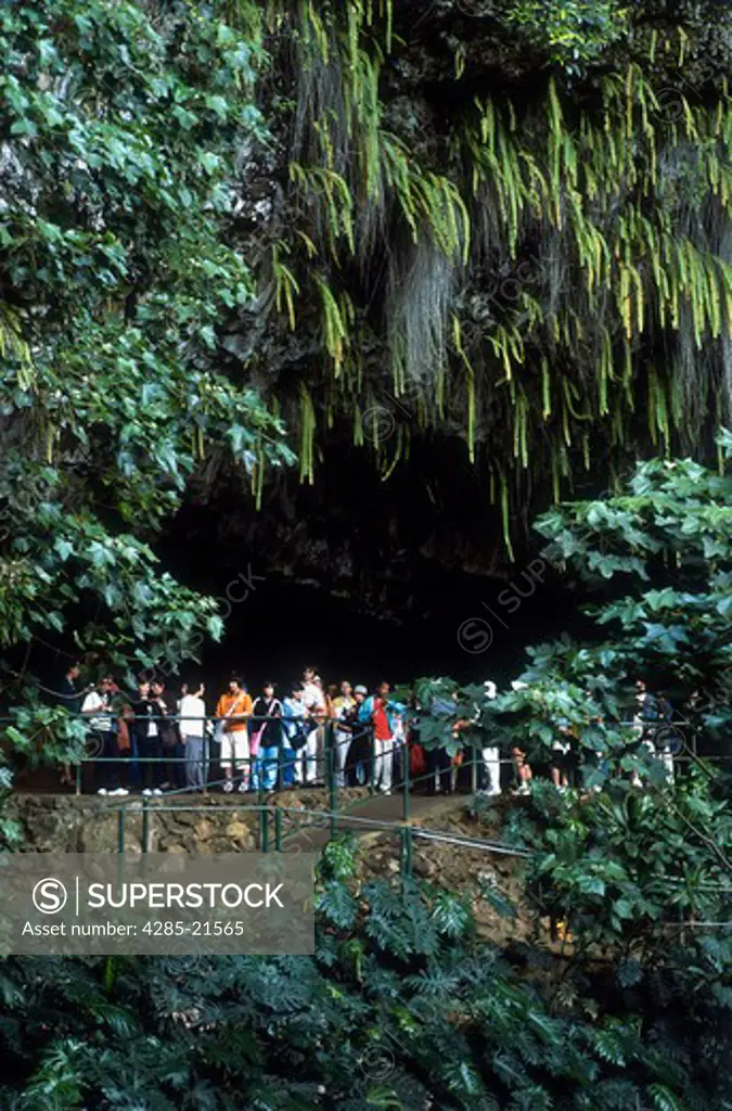 Kauai, Fern Grotto