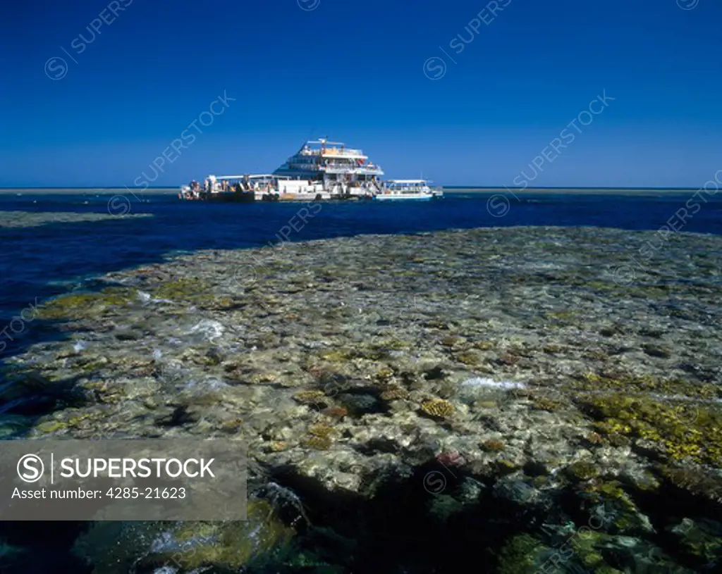 Australia, Queensland, Cairns, Great Barrier Reef