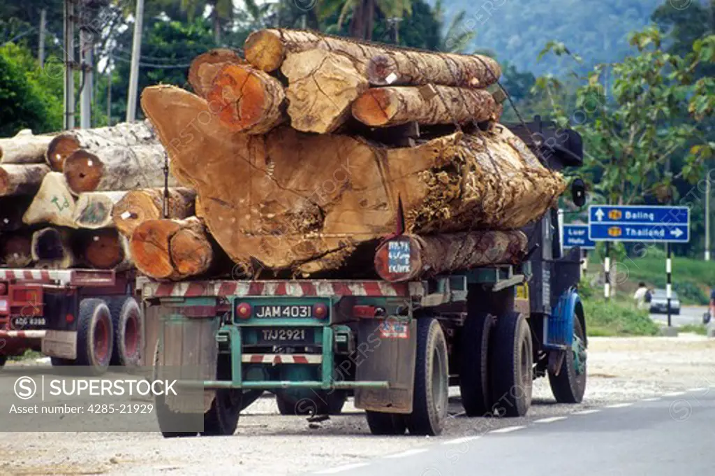 Malaysia, Koto Bharu, Baling, Timber Transportation