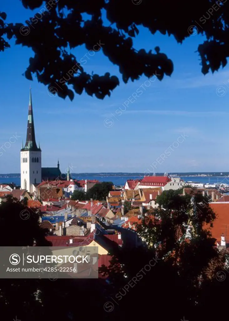 Oleviste Church, Old Town, Harbor, Tallinn, Estonia