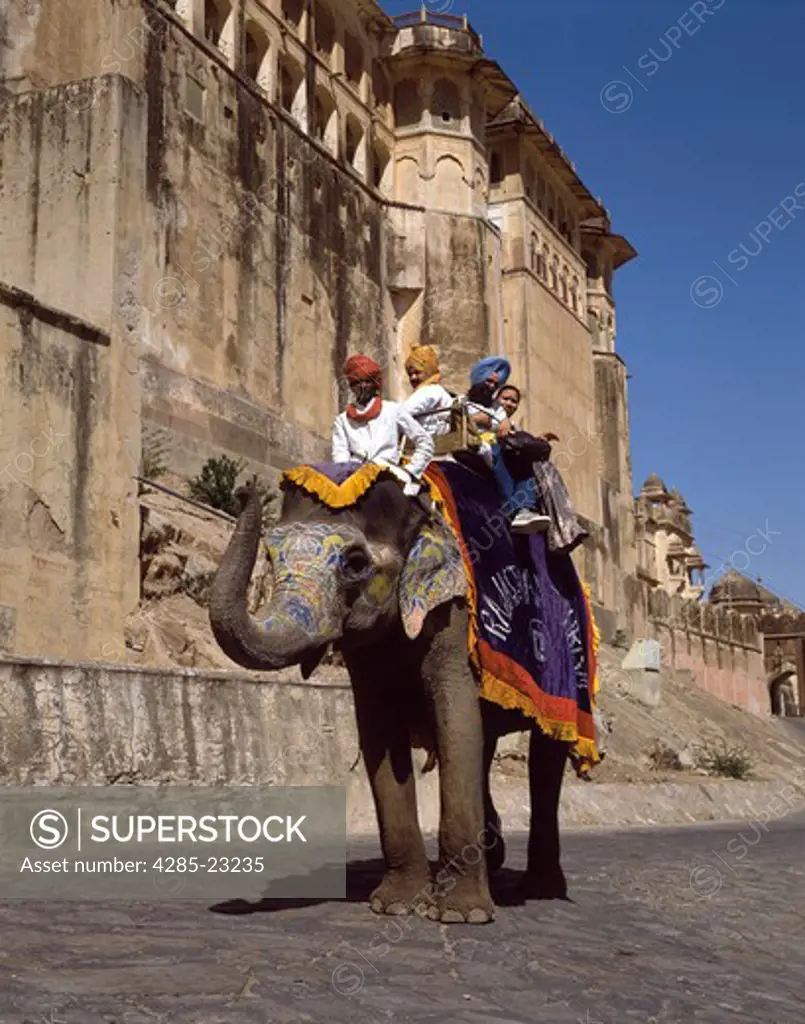 India,Jaipur,Decorated Elephant,Jal Mahal in background