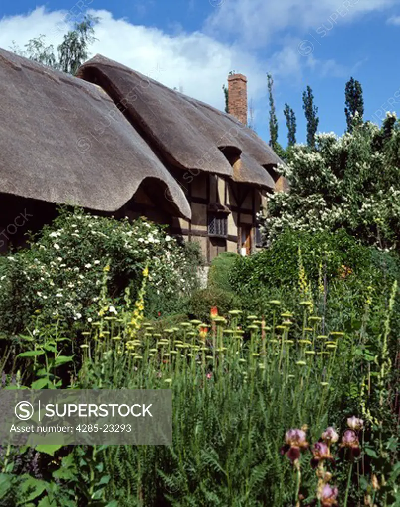 United Kingdom,England,Stratford on Avon,Ann Hathaway's Cottage