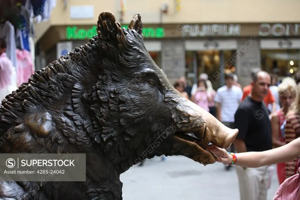 Italy, Tuscany, Florence, Porcellino at Mercato Nuovo, Brass Boar, Pig, Straw Market