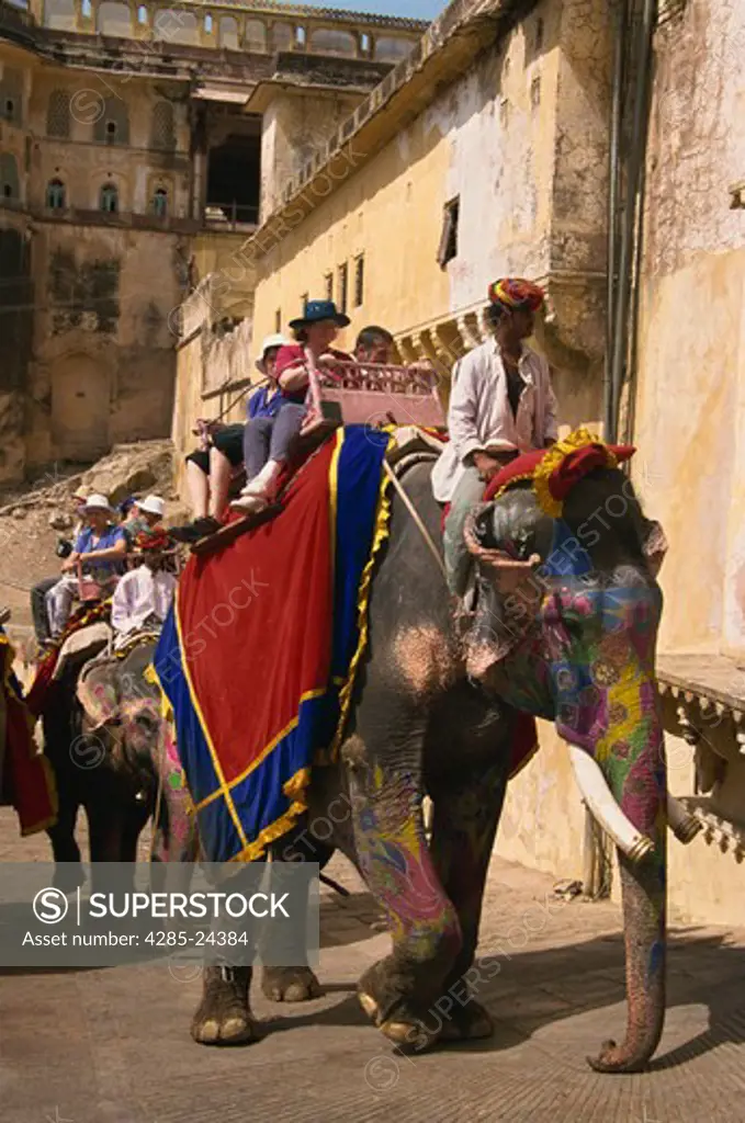 India, Jaipur, Amber Fort, Elephant Rides